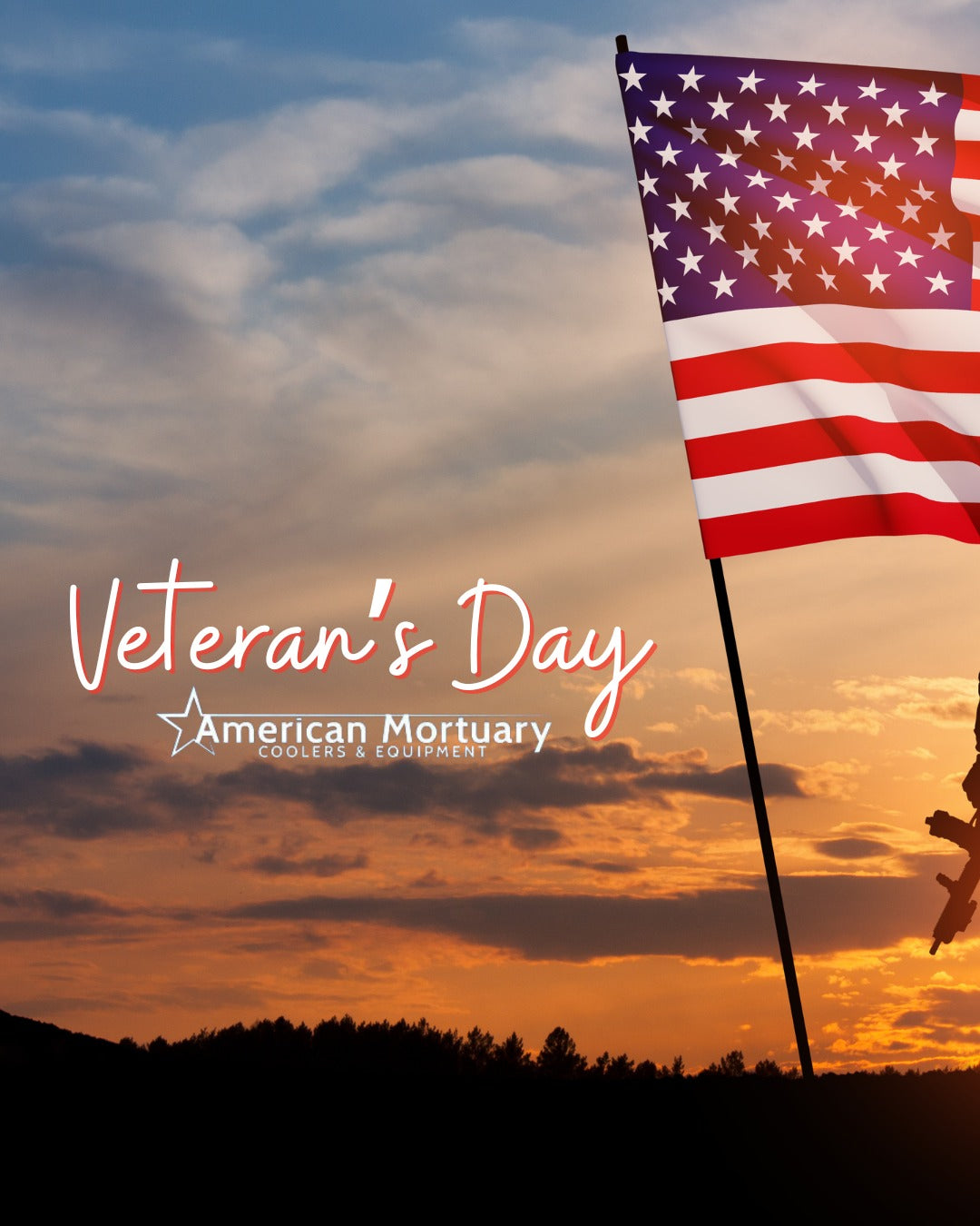 Honoring Our Heroes this Veterans Day!